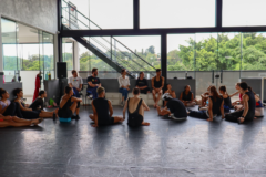 Visita – Simone Alcantâra, Crítica de Dança da APCA